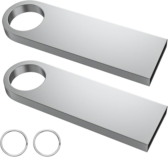 ABLAZE 64GB Flash Drive 2 Pack, Metal USB 2.0 Thumb Drives with Keychains USB Stick Pendrive (Sliver)