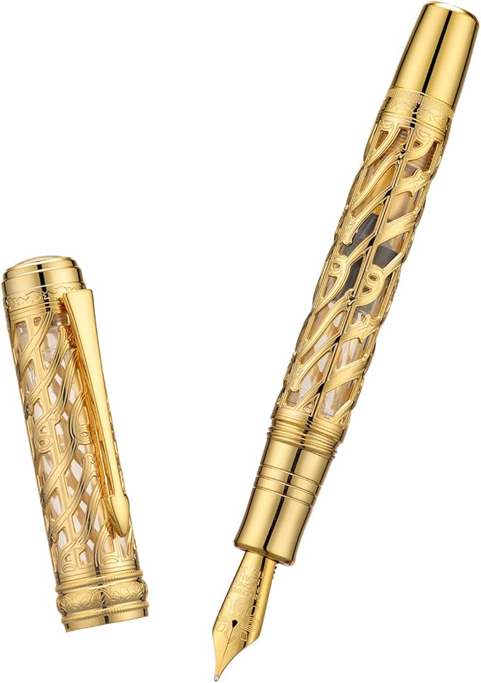 Hongdian A6 Piston Fountain Pen Fine Soft Nib, Golden Hollow Skeleton & Transparent Resin Pen with Metal Case Set