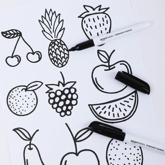 Amazon Basics Fine Tip Point Permanent Markers for Office, School, and Home Use, Black, 12 Pack