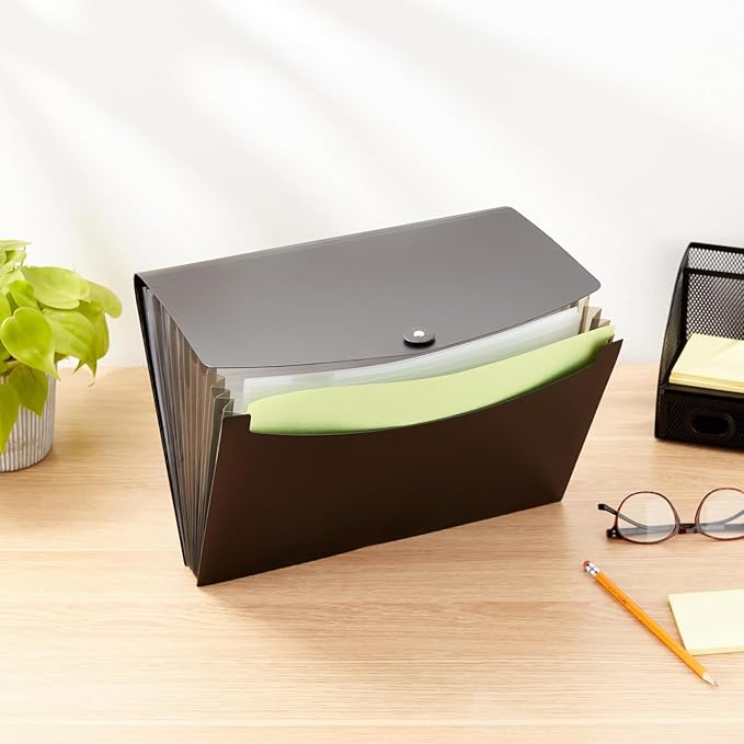 Amazon Basics Expanding Organizer File Folder, Letter Size - Black, 1-Pack