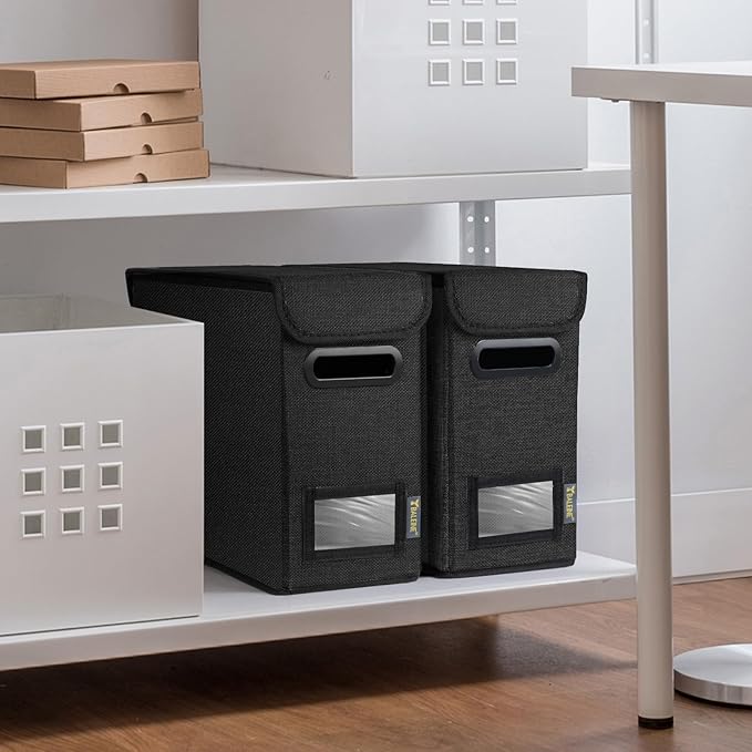 BALEINE File Organizer Box with Lid, Collapsible File Folder Organizer with Plastic Slide, Hanging File Folder Box for Office Document Storage (1 Pack, Black, S)