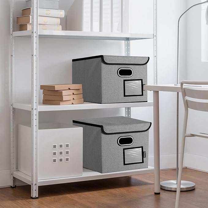 BALEINE File Organizer Box with Lid, Collapsible File Folder Organizer with Plastic Slide, Hanging File Folder Box for Office Document Storage (1 Pack, Grey)