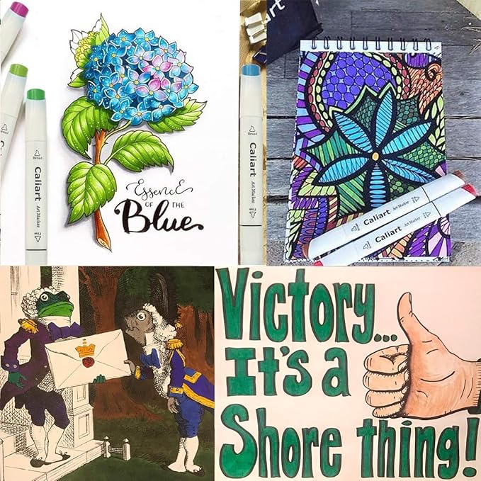 Caliart 81 Colors Alcohol Based Markers, Dual Tip Permanent Artist Art Sketch Markers for Adult Kid Coloring Book, Illustration Painting Card Making, Bonus 1 Colorless Alcohol Marker Blender