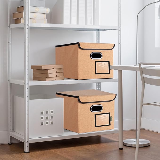 BALEINE File Organizer Box with Lid, Collapsible File Folder Organizer with Plastic Slide, Hanging File Folder Box for Office Document Storage (1 Pack, Orange)