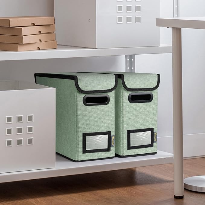 BALEINE File Organizer Box with Lid, Collapsible File Folder Organizer with Plastic Slide, Hanging File Folder Box for Office Document Storage (1 Pack, Green, S)