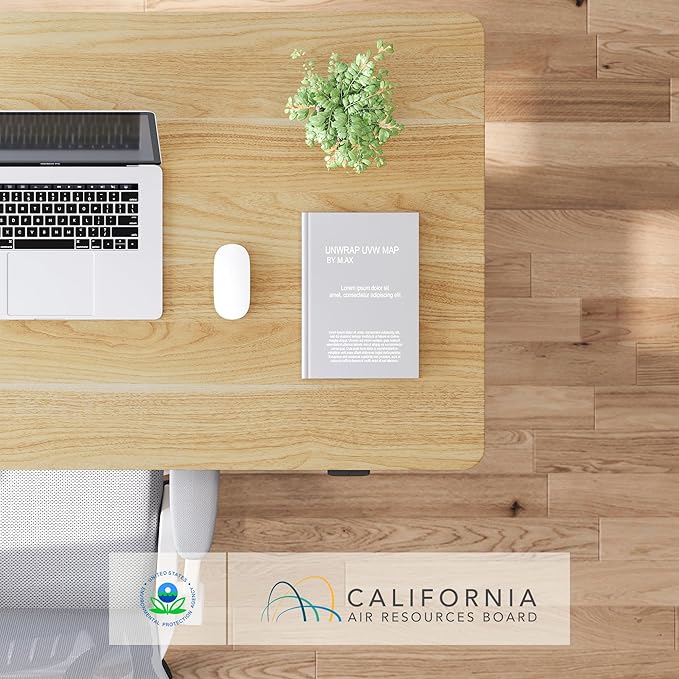 FLEXISPOT EN1 One Piece Standing Desk, 48 x 24 Inches Height Adjustable Desk Electric Stand up Desk Home Office Table for Computer Laptop (White Frame + Maple Desktop)