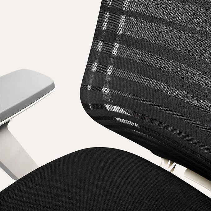 Branch Ergonomic Chair - A Versatile Desk Chair with Adjustable Lumbar Support, Breathable Mesh Backrest, and Smooth Wheels - Experience Optimal Comfort and Support - Black