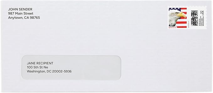 Bald Eagle NetStamps 1200-Pack (50 Sheets) Printable Postage Labels (Stamps.com Subscription Required) - Print Approved Postage - Inkjet & Laser Printers - Business, Personal, Home