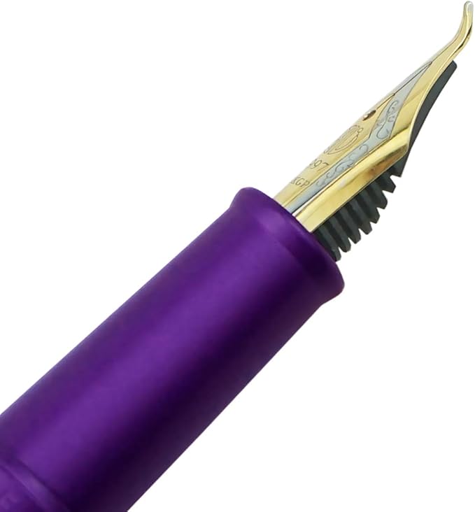 Asvine Purple Fude Pen, Bent Nib Fountain Pen Calligraphy (Fine to Broad) with Converter and Metal Pen Case Set