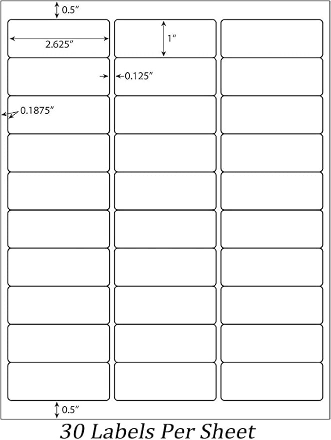 1" x2-5/8 Shipping Address Labels, Blank Mailing Labels, 30-UP White Self-Adhesive Name Tag Stickers for Inkjet and Laser Printer [100 Sheet 3000 Labels]