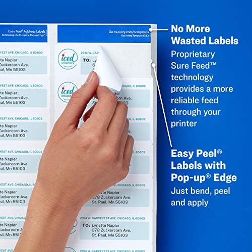 Avery Mailing Address Labels,Laser Printers, 2,000 Labels,1/2x1-3/4,Permanent Adhesive,Easy Peel,5 Packs(5267)