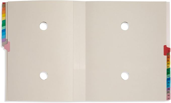 Blue Summit Expanding 1-31 Desk File Sorter, 31 Day Accordion File Organizer, Letter Size Document Sorter and Tickler Folder, Blue