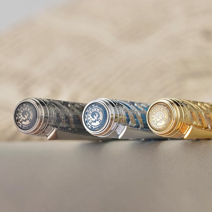 Hongdian A6 Piston Fountain Pen Fine Soft Nib, Golden Hollow Skeleton & Transparent Resin Pen with Metal Case Set