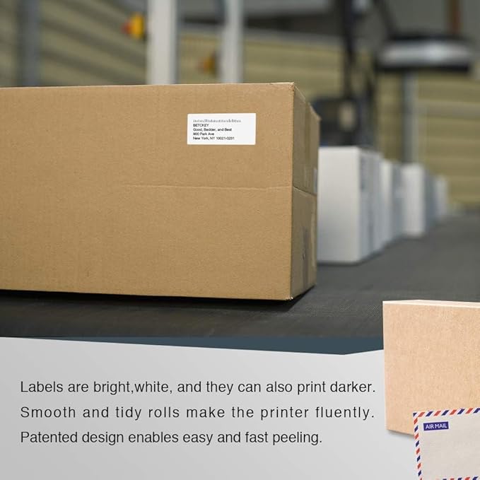 BETCKEY - Compatible DYMO 99019 (2-5/16" x 7-1/2") Large Lever Arch File Labels, Compatible with DYMO Labelwriter 450, 4XL, NOT Fit 550 & 5XL [6 Rolls/900 Labels]