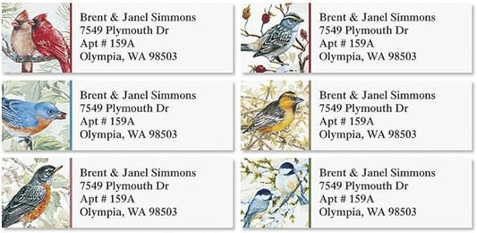 Colorful Images Garden Friends Birds Return Address Mailing Labels, Personalize with Name & Addresses, Set of 240 Self Adhesive, Easy Peel Flat Label Sheets, ⅝ x 2”, 6 Designs
