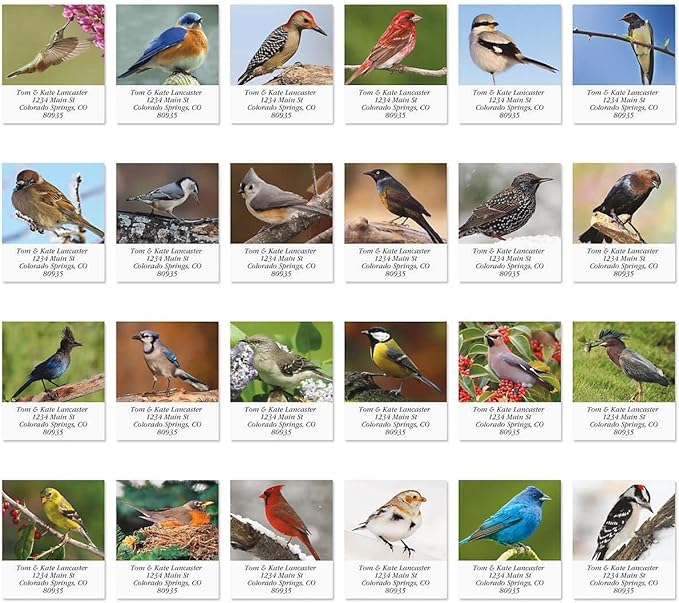 Colorful Images Birds of North America Return Address Mailing Labels, Personalize with Name & Addresses, Set of 144 Self Adhesive, Easy Peel Flat Label Sheets, 1 ½ x 1 ¾”, 24 Designs