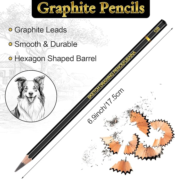 12 Pcs Drawing Sketching Pencil Set Professional (12b - 4h) Graphite Charcoal Gift Bulk for Artists Beginners, Pro Artists, Drawing Art, Sketching