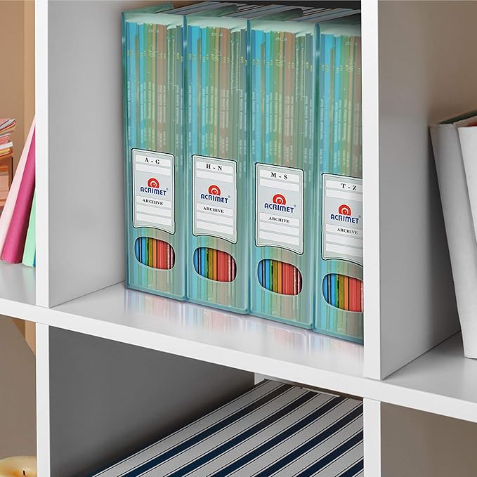 Acrimet Magazine File Holder, Durable Rack, Space-Saving Organizer (Plastic) (Clear Green Color) (2 pack)