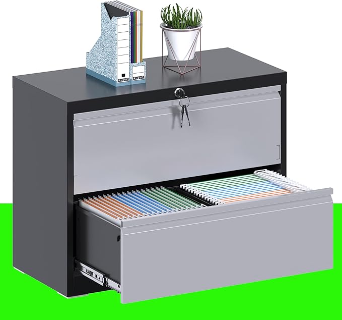 Aobabo 2 Drawer Lateral File Cabinet, Metal Filing Cabinet with Lock, Suitable for Home Office School Hanging Files Letter/Legal/F4/A4 Size,Multi,Required-Assembly