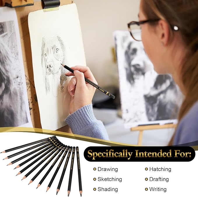 360 Pcs Drawing Sketching Pencil Set Professional (12b - 4h) Graphite Charcoal Gift Bulk for Artists Beginners, Pro Artists, Drawing Art, Sketching