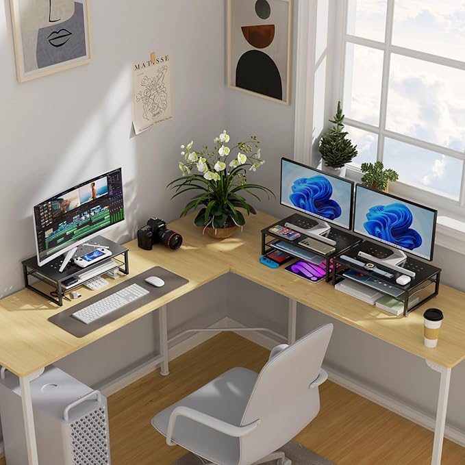 gianotter Desk Organizers and Accessories, 2-Tier Metal Monitor Stand Riser, Desk Organizer for Monitor, Office Desk Storage Organizer for Office Supplies (Black)