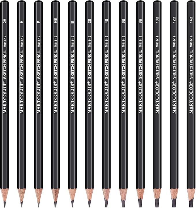 Drawing Sketching Pencils Set, 12 Pack Graphite Pencils(14B - 2H), Ideal for Drawing Art, Sketching, Shading, Artist Pencils for Beginners & Pro Artists