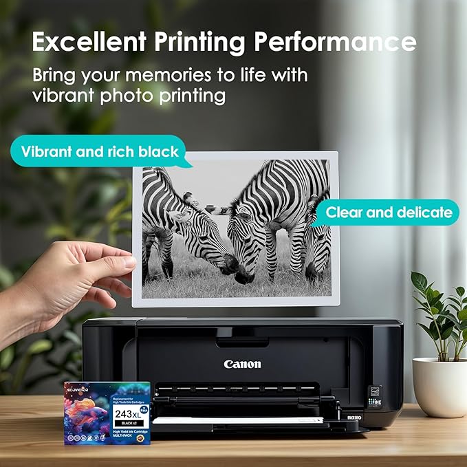 243XL Black Compatible Ink Cartridge Replacement for Canon 243 243XL PG-243 PG 243 XL Black Ink Cartridges for TR4520 TR4522 MG2522 MX490 MX492 TS3320 TS3120 TS202 MG2922 Printer (2-Pack)