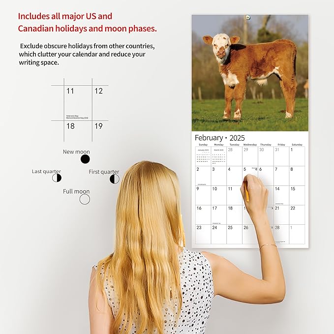 2025 Wall Calendar,Calendar 2025, January 2025 - December 2025, Wall Calendar Baby Moo Moos, 12" x 24" Opened,Full Page Months Thick & Sturdy Paper for Calendar Organizing & Planning