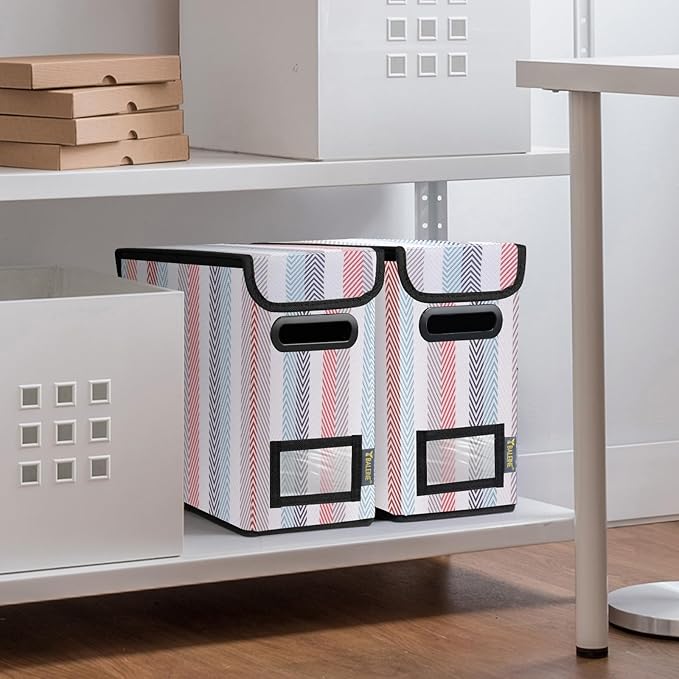 BALEINE File Organizer Box with Lid, Collapsible File Folder Organizer with Plastic Slide, Hanging File Folder Box for Office Document Storage (2 Pack, Color Stripe, S)