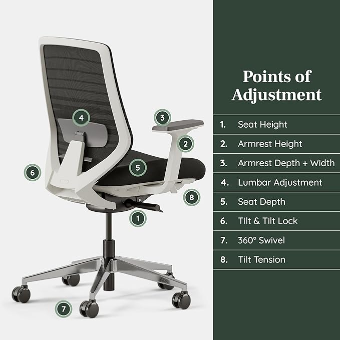 Branch Ergonomic Chair - A Versatile Desk Chair with Adjustable Lumbar Support, Breathable Mesh Backrest, and Smooth Wheels - Experience Optimal Comfort and Support - Black