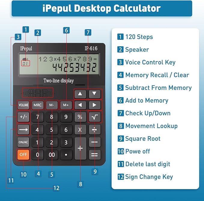 Calculators Desktop, Desk Calculator with Large 2 Line Display, Talking Basic Calculator with Big Button & Adjustable Volume, 4 Function Calculators for Business, Students, Office Supplies(Black)