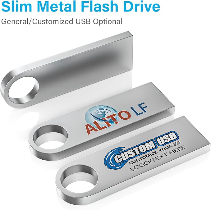 ABLAZE Custom Flash Drive 2GB 10 Pack, Personalized USB with Your Logo Metal Thumb Drives USB 2.0 Memory Stick Pendrive (Sliver)