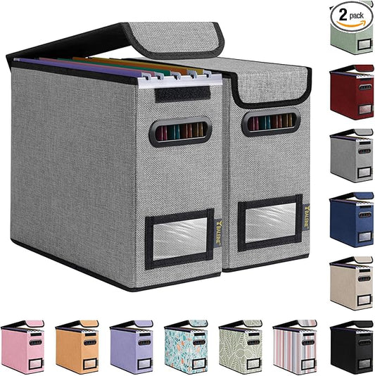 BALEINE File Organizer Box with Lid, Collapsible File Folder Organizer with Plastic Slide, Hanging File Folder Box for Office Document Storage (2 Pack, Grey, S)