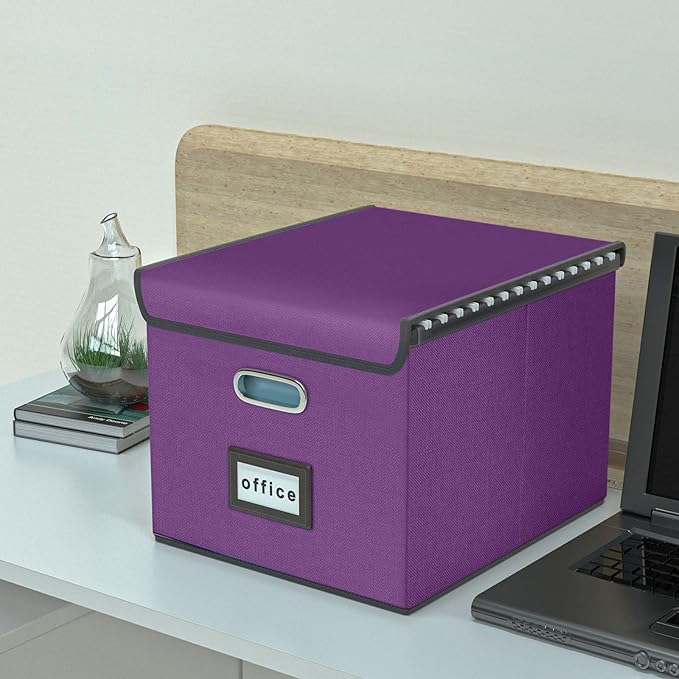 Huolewa File Organizer Box with Lid, Collapsible File Folder Organizer for Office Document Storage, Filing Box with Plastic Slide for Letter/Legal Size Hanging Files, Purple