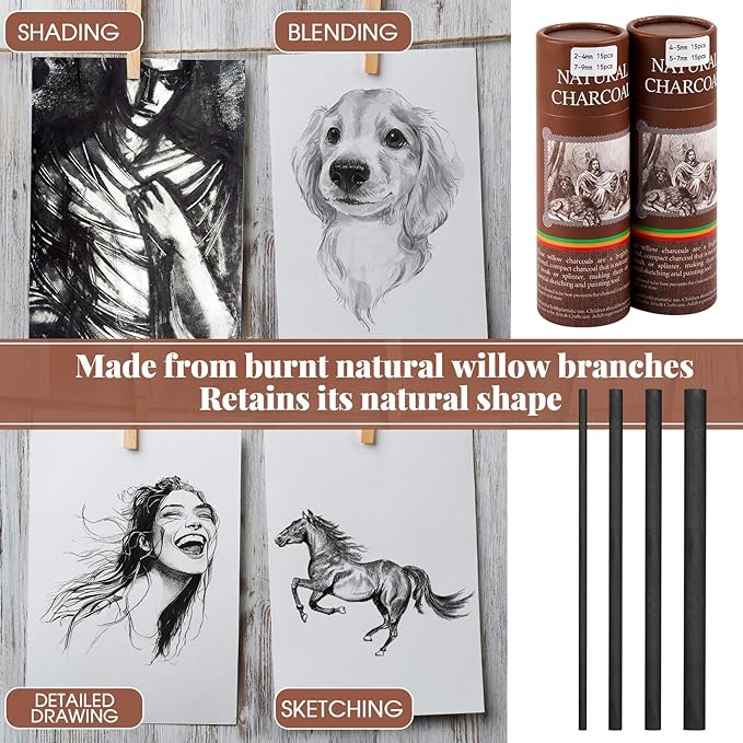 Gueevin 60 Pcs Willow Charcoal Sticks, Willow Charcoal, Artists, Beginners, Students, Perfect for Sketching, Drawing, Shading, and Fine Art (2-4mm，4-5mm，5-7mm，7-9mm)