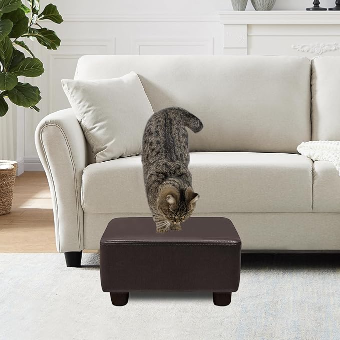 CAROLMADE Small Foot Stool Ottoman Footstool with Legs Under Desk Footrest for Living Room Bedroom and Office, Dark Brown