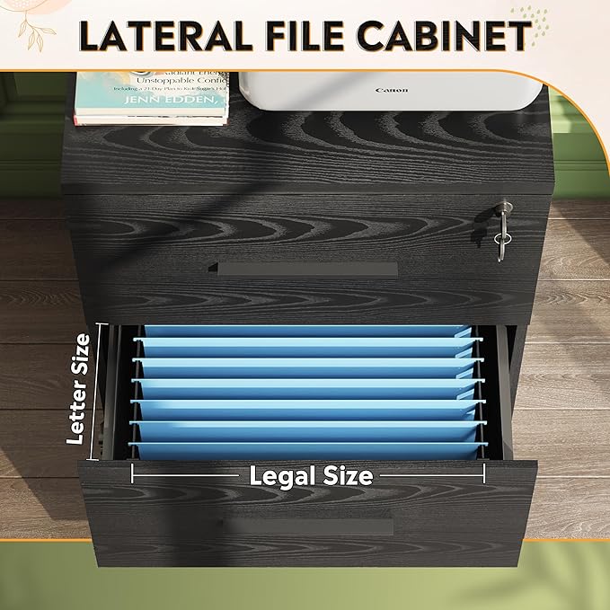 DEVAISE 2-Drawer Wood Lateral File Cabinet with Lock for Office Home, Black