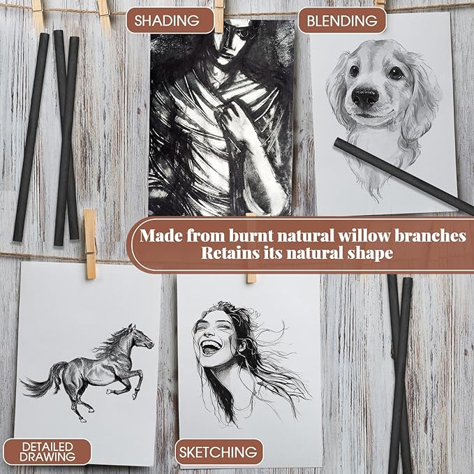 Gueevin 200 Pcs Willow Charcoal Sticks, Willow Charcoal, Artists, Beginners, Students, Perfect for Sketching, Drawing, Shading, and Fine Art (5-7mm)