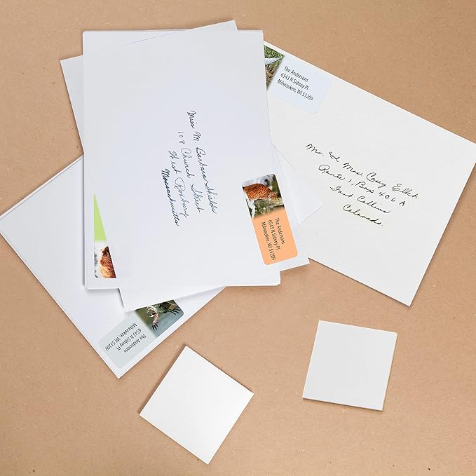 Customized Personalized Address Labels - Made in The USA by Kenco (250 Labels, Forest Wildlife)