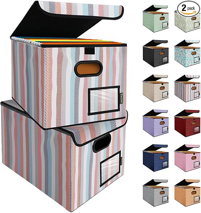 BALEINE File Organizer Box with Lid, Collapsible File Folder Organizer with Plastic Slide, Hanging File Folder Box for Office Document Storage (2 Pack, Color Stripe)