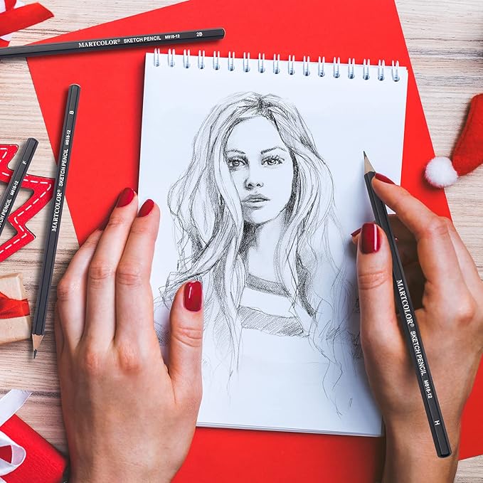 Drawing Sketching Pencils Set, 12 Pack Graphite Pencils(14B - 2H), Ideal for Drawing Art, Sketching, Shading, Artist Pencils for Beginners & Pro Artists