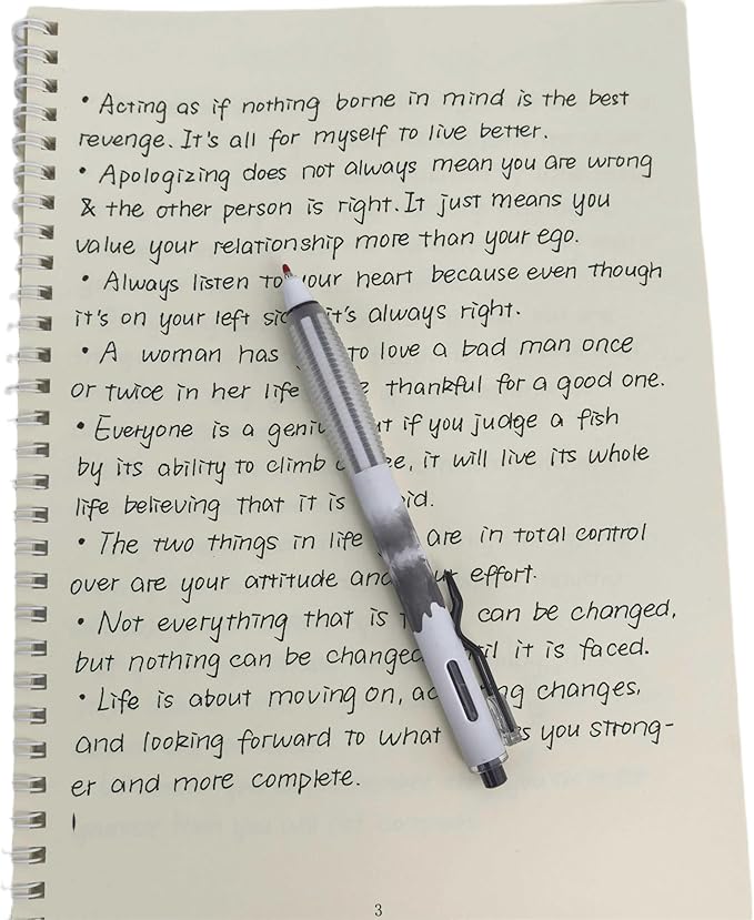 Fengtaiyuan GRB05P12 Silent Press Neutral Pen - Black Ink, 0.5mm Bullet Head, Smooth Writing, 12 Count (Black05P12)