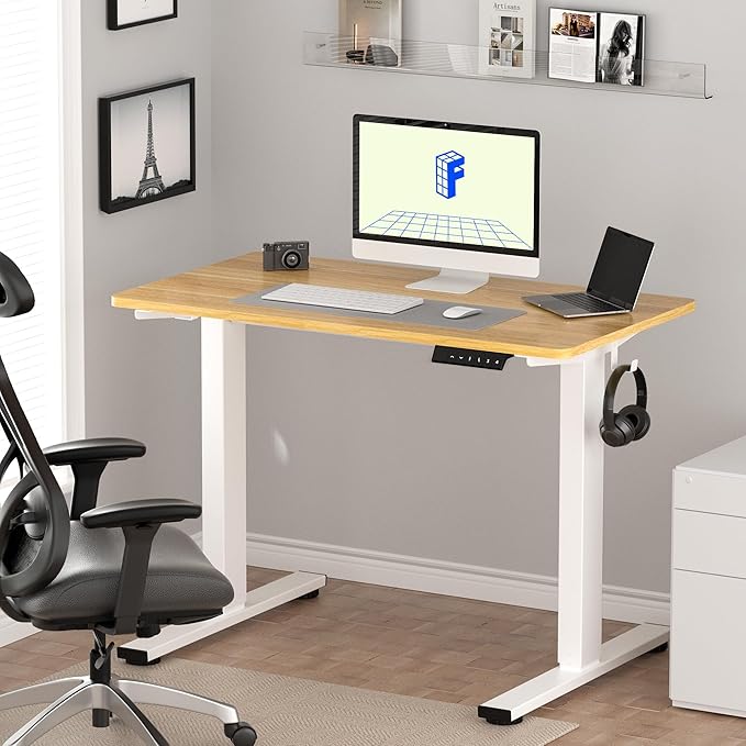 FLEXISPOT EN1 One Piece Standing Desk, 48 x 24 Inches Height Adjustable Desk Electric Stand up Desk Home Office Table for Computer Laptop (White Frame + Maple Desktop)