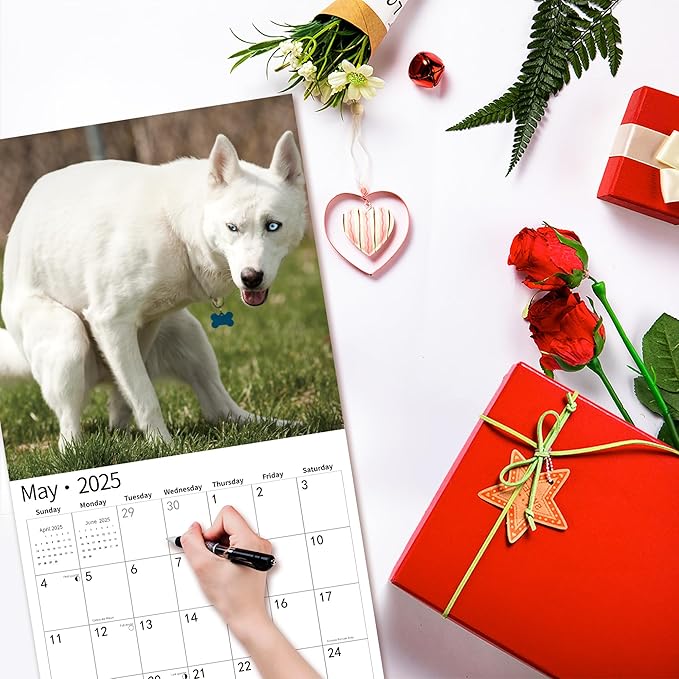 Gag Gift 2025 Wall Calendar, Funny White Elephants Funny Pooping Dogs Calendar 2025,12 Monthly Calendar, January 2025 - December 2025, 12" x 24" Opened Full Page Thick & Sturdy Paper for Organizing