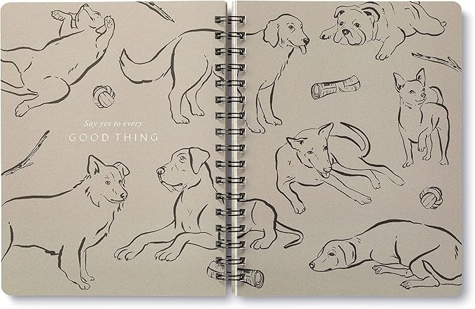 Compendium Spiral Notebook - Play All Day — A Designer Spiral Notebook with 192 Lined Pages, College Ruled, 7.5”W x 9.25”H