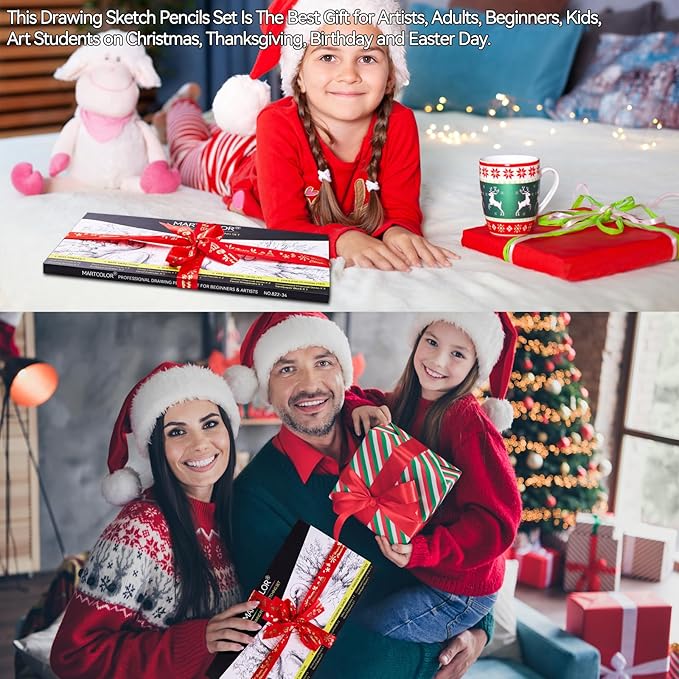 Drawing Sketching Pencils Set, 34 Pieces Pro Art Pencil Kit - Graphite Pencils (14B-4H), Charcoal Pencils, Charcoal Sticks, Artist Pencils for Beginners & Pro Artists